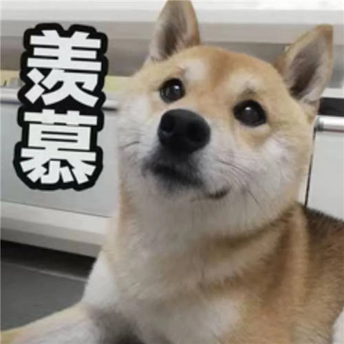 西人馬2021春季校園招聘開啟，優(yōu)秀的你快看向這里