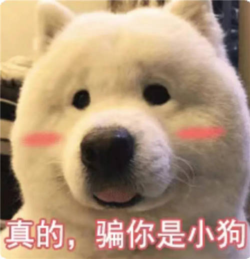西人馬2021春季校園招聘開啟，優(yōu)秀的你快看向這里