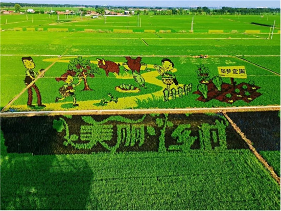 加速新型農(nóng)業(yè)發(fā)展，華為云助力沈陽(yáng)稻夢(mèng)空間建設(shè)數(shù)字化產(chǎn)業(yè)園