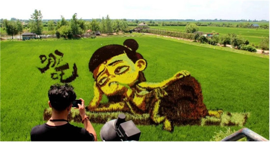 加速新型農(nóng)業(yè)發(fā)展，華為云助力沈陽(yáng)稻夢(mèng)空間建設(shè)數(shù)字化產(chǎn)業(yè)園
