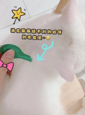 貓咪一定要做好體外驅(qū)蟲! 體外驅(qū)蟲首選小寵虱敵！