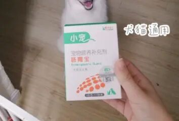 開(kāi)心狗娃家中常備的寵物專用益生菌——小寵腸胃寶