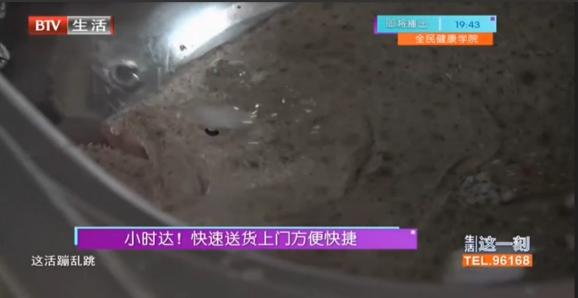 冰激凌、活魚(yú)半小時(shí)內(nèi)送到家 記者秒表計(jì)時(shí)測(cè)試京東小時(shí)達(dá)“有多快”