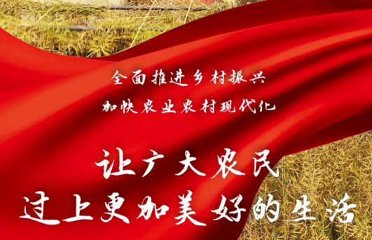鄉(xiāng)村振興 如何破局？ 廣藥集團(tuán)旗下王老吉刺檸吉交出這樣一份答卷