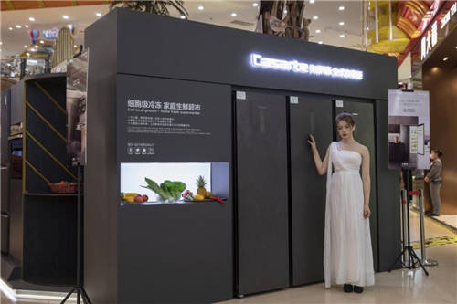 囤海鮮空間不夠還變味？卡薩帝立式凍藏柜上市，囤貨更自由
