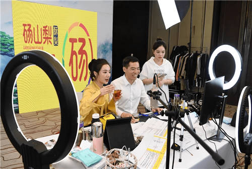 上架就被秒空！“薇婭魅力中國行”再次走進(jìn)安徽，直播引導(dǎo)成交額超4486萬元
