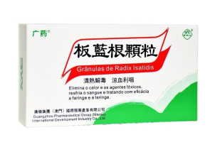 “科技+農(nóng)戶(hù)+企業(yè)”，廣藥集團(tuán)板藍(lán)根公益關(guān)愛(ài)不停歇