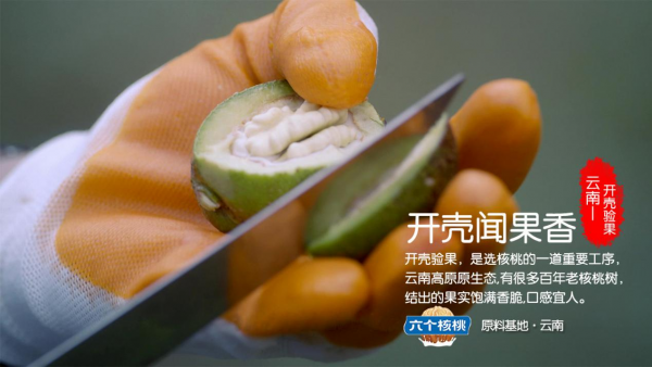 養(yǎng)元飲品六個核桃2430這產(chǎn)品怎么樣？營養(yǎng)專家來安利了