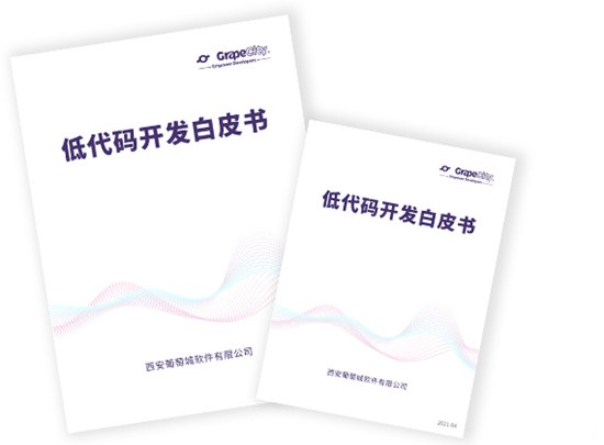 葡萄城《低代碼開(kāi)發(fā)白皮書(shū)》正式發(fā)布