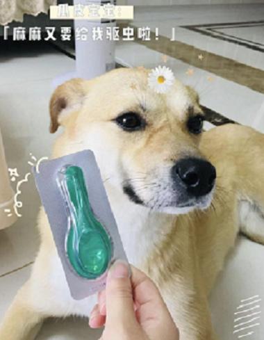 寵物驅蟲必備！體外驅蟲看小寵虱敵