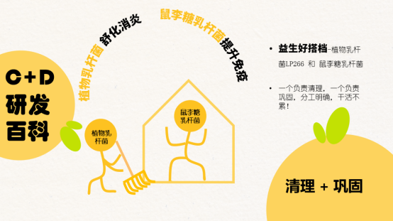 “益生元+益生菌”雙配方，C+D Nosh一口餅刷爆達人下午茶