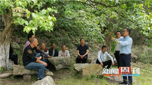 南陽新聞周刊