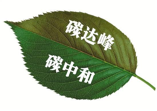 發(fā)揮數(shù)據(jù)最大價值，打造最強云底座 華為云助力“碳中和”賦能生態(tài)文明