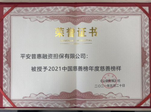 多角度、深層次履行社會責(zé)任，平安普惠榮獲“年度慈善榜樣”