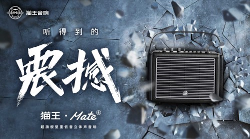 國(guó)潮品牌貓王音響攜手胡海泉，推出震撼之聲貓王·Mate系列