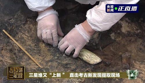助力三星堆文物存儲(chǔ)，海爾冰箱做了什么？