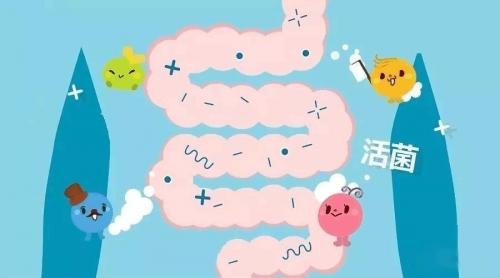 豈幽細(xì)化益生菌領(lǐng)域，精準(zhǔn)守護(hù)腸胃健康
