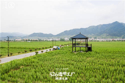 艾艾貼研發(fā)生產(chǎn)實(shí)力揭秘，以匠心品質(zhì)傳承國(guó)粹精華