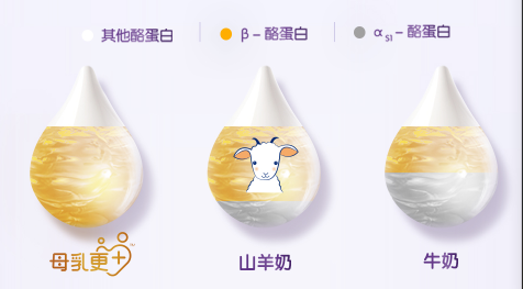 合生元可貝思羊奶粉為寶寶帶來營(yíng)養(yǎng)支持 配方全面更安心