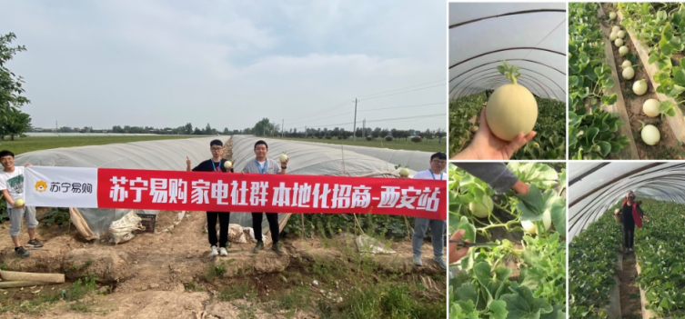 產(chǎn)地直采只要9.9，質(zhì)量力壓拼多多，揭秘蘇寧618“九九購物節(jié)”