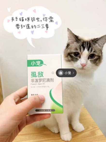 小寵虱敵安全好用性價比高 關于驅(qū)蟲你需要知道以下幾點