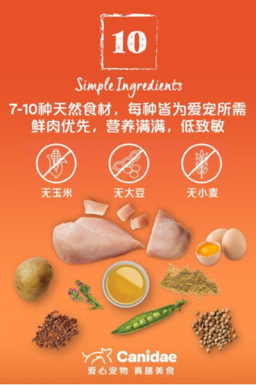 中國(guó)寵物消費(fèi)市場(chǎng)潛力巨大 美國(guó)高端寵物糧品牌卡比貓糧正式入駐京東