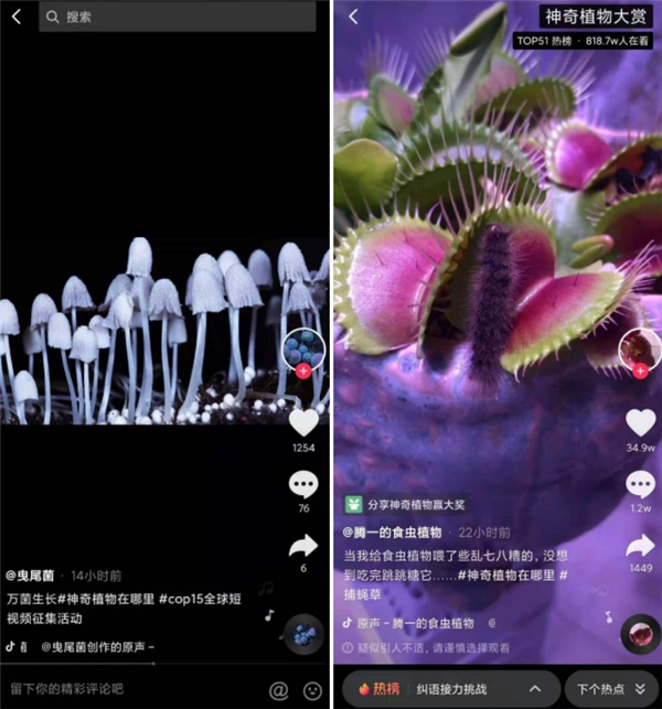 抖音發(fā)起#神奇植物在哪里，1.8億人次學(xué)習(xí)植物冷知識(shí)