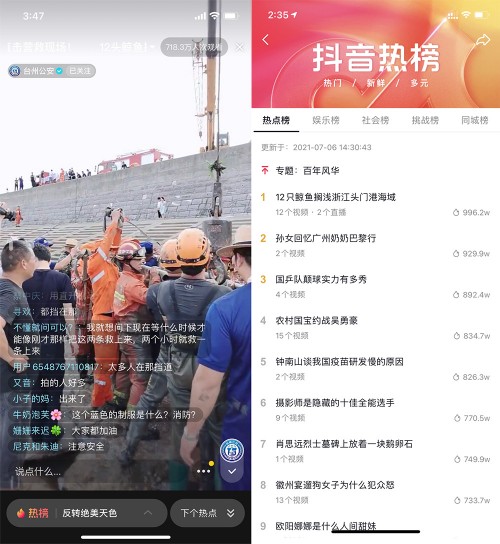 12頭鯨魚(yú)擱淺臺(tái)州牽動(dòng)人心，抖音直播全程直擊救援行動(dòng)