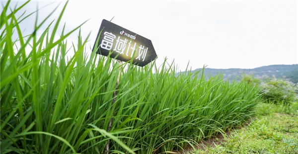 抖音電商“富域計劃”攜三農達人助農培訓，助力鄉(xiāng)村振興