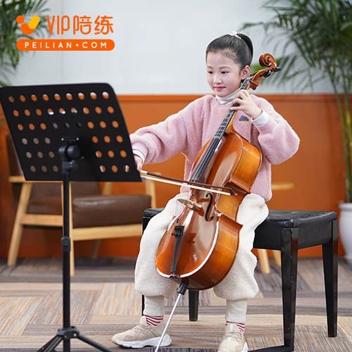 五周年踏浪而來(lái)，VIP陪練穩(wěn)步引領(lǐng)在線素質(zhì)教育發(fā)展