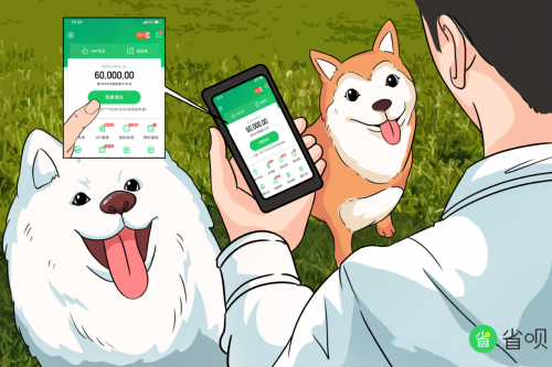 省唄：渡過資金鏈斷裂危機，一個犬舍老板的勵志追夢史