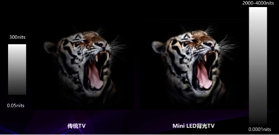 小中見大，TCL Mini LED技術(shù)淺析