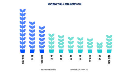 脈脈人才擇業(yè)報告出爐 互聯(lián)網新人看重成長力 字節(jié)跳動成首選