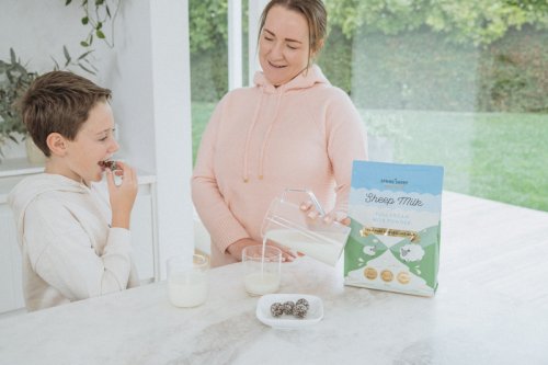 世界乳品新未來！Spring Sheep春綿乳業(yè)持續(xù)引領綿羊奶新格局！