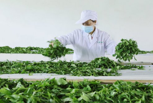 喜茶的“靈感之茶”又有新的突破了？
