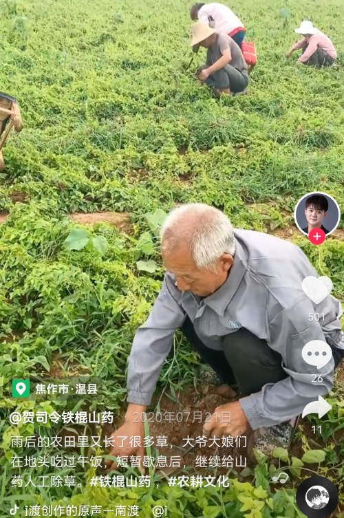 94年白領(lǐng)抖音電商賣(mài)山藥日銷(xiāo)萬(wàn)斤，他想和鄉(xiāng)親們走向共同富裕