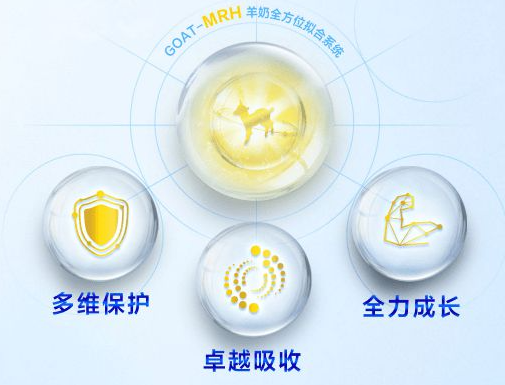 綿羊奶和山羊奶哪個更好？深度了解兩者有何不同