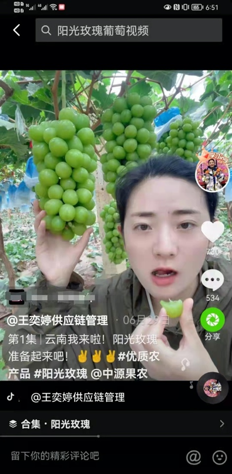 河南姑娘抖音電商創(chuàng)業(yè)賣水果，帶粉絲跑遍全國原產(chǎn)地