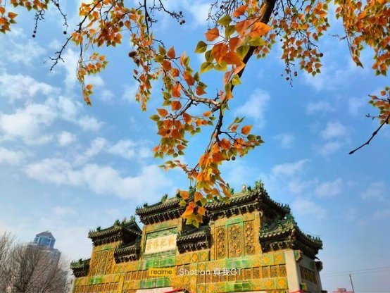 不只是游戲利器！驍龍888手機的拍攝能力也非常出色！