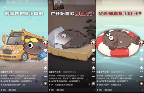 453萬人在抖音跟他學知識，靠科普動物保護登上學習強國