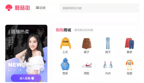 第四波浪潮襲來，復(fù)盤電商導(dǎo)購平臺(tái)成長史！