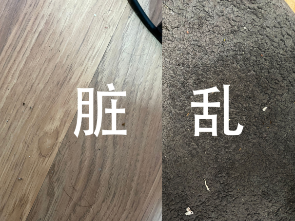 一文告訴你真懶人是怎么用掃地機的，Trifo Lucy Pet掃地機器人評測