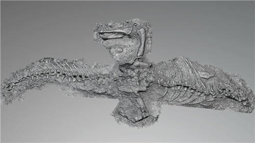 思看3D掃描技術(shù)，還原云南祿豐龍，帶你穿越億萬年，重返侏羅紀(jì)
