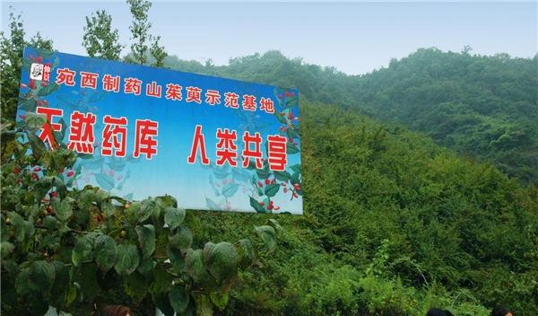 孫鋒：深耕“藥材好，藥才好”價(jià)值理念，釋放“中華醫(yī)圣”經(jīng)典活力