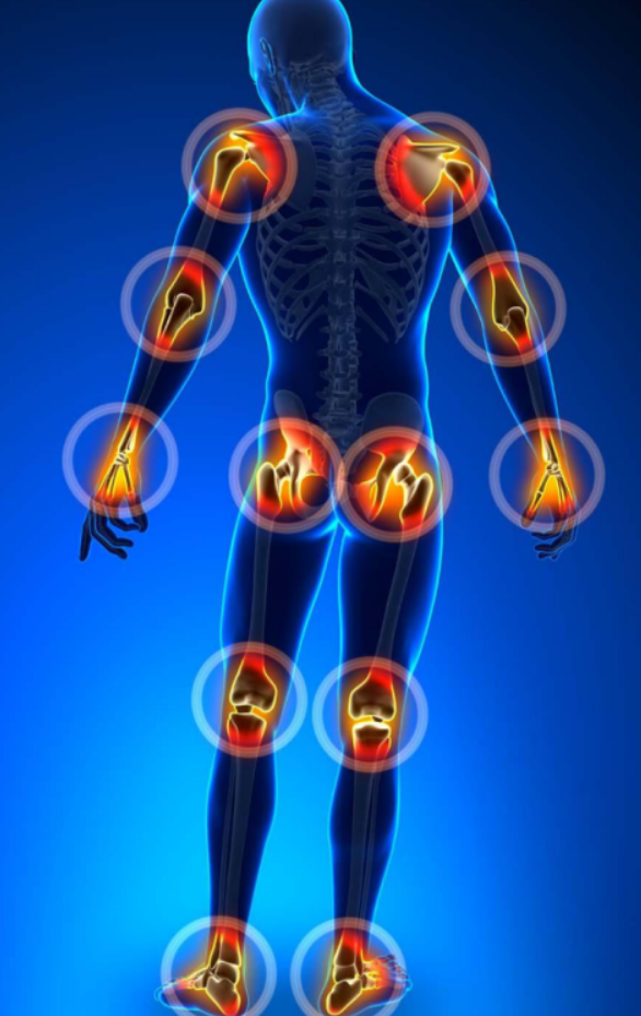 健康關(guān)節(jié)的守護者move free益節(jié)以天然成分維護關(guān)節(jié)健康