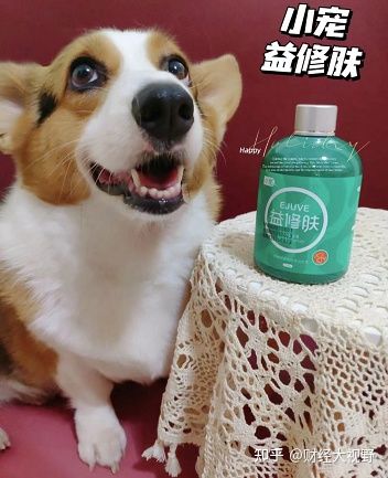 怕狗狗脫毛啦！我的小寵益修膚使用心得