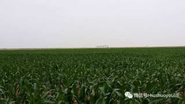 茫茫沙漠中，身價百億的他如釋重負！他特別提及，蒙牛總裁盧敏放是貴人！