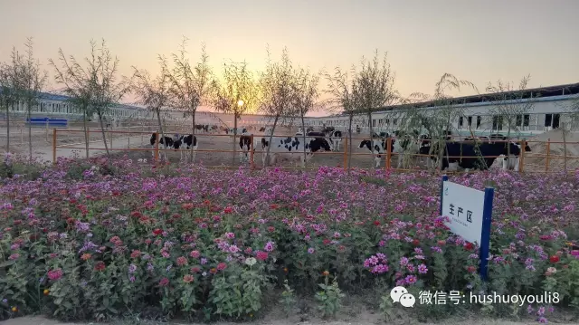 茫茫沙漠中，身價百億的他如釋重負！他特別提及，蒙?？偛帽R敏放是貴人！