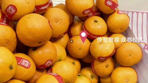 傳智教育1024程序員節(jié)，全國(guó)各校區(qū)“橙心誠(chéng)意”邀你一起嗨