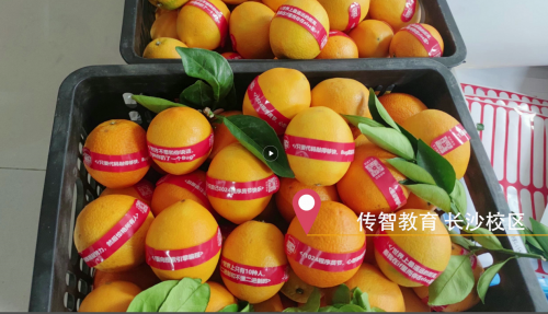 傳智教育1024程序員節(jié)，全國(guó)各校區(qū)“橙心誠(chéng)意”邀你一起嗨